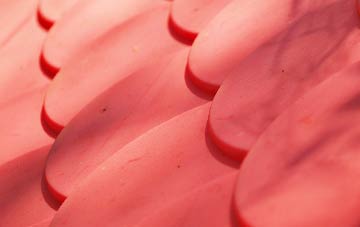 Great Eversden plastic roof costs